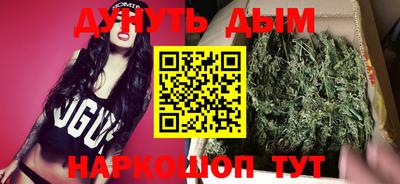 крисы Малгобек
