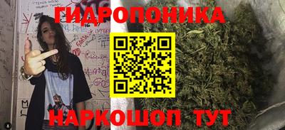 крисы Малгобек