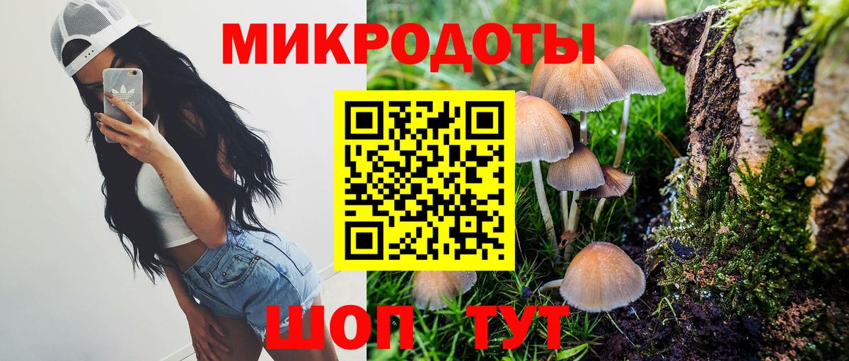 Грязи  Псилоцибиновые грибы мухоморы  Вход с VPN  Псилоцибиновые грибы Cubensis 